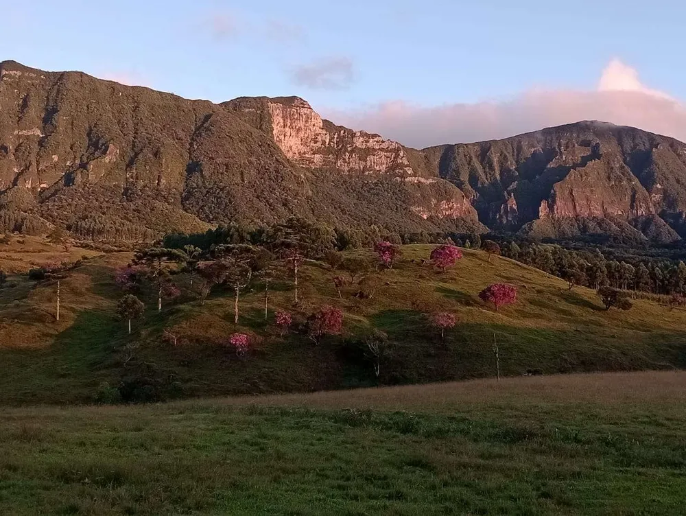 Fazenda, 48 hectares - Foto 12