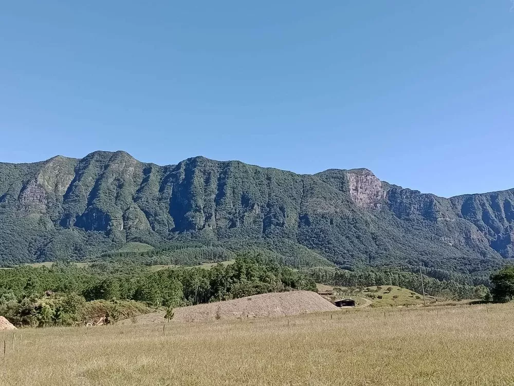 Fazenda, 48 hectares - Foto 2