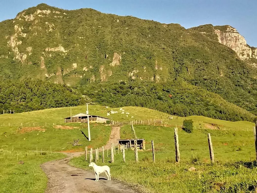 Fazenda, 48 hectares - Foto 1