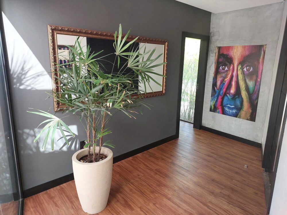 Casa à venda com 4 quartos - Foto 3