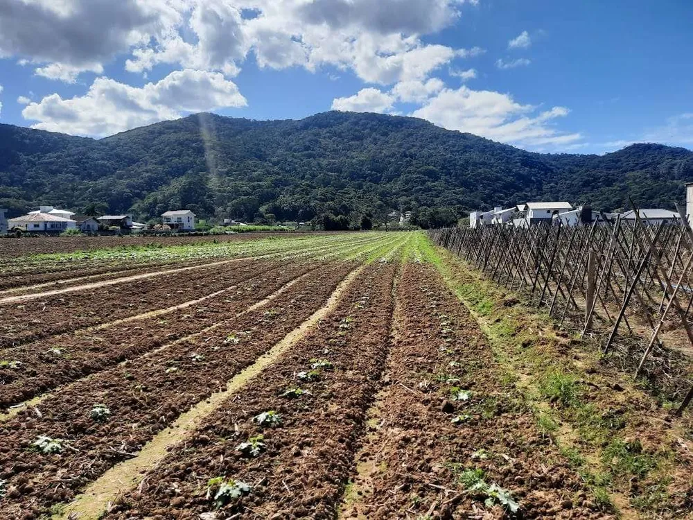 Terreno, 1 hectares - Foto 1
