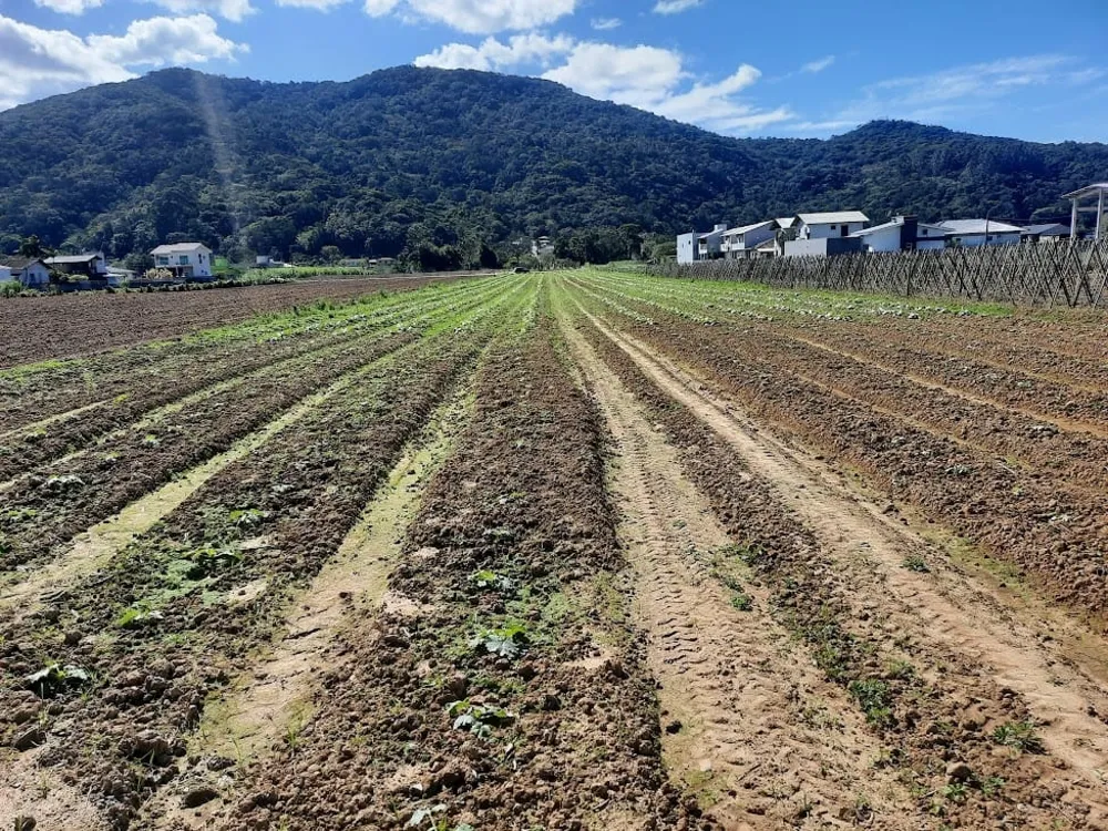 Terreno, 1 hectares - Foto 9