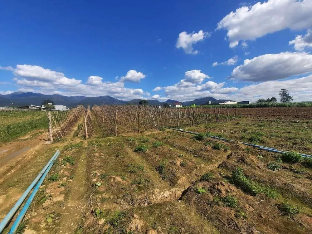 Terreno, 1 hectares - Foto 4