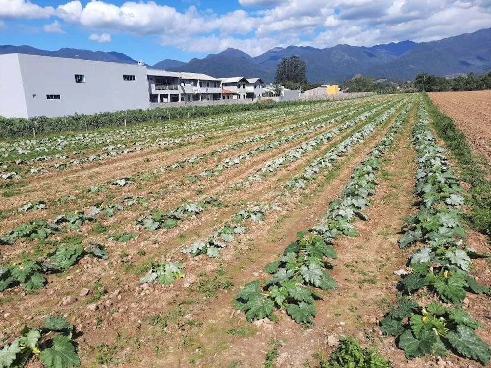 Terreno, 1 hectares - Foto 3