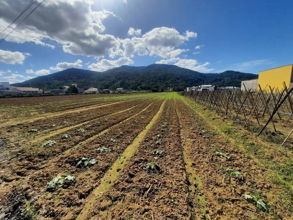 Terreno, 1 hectares - Foto 7
