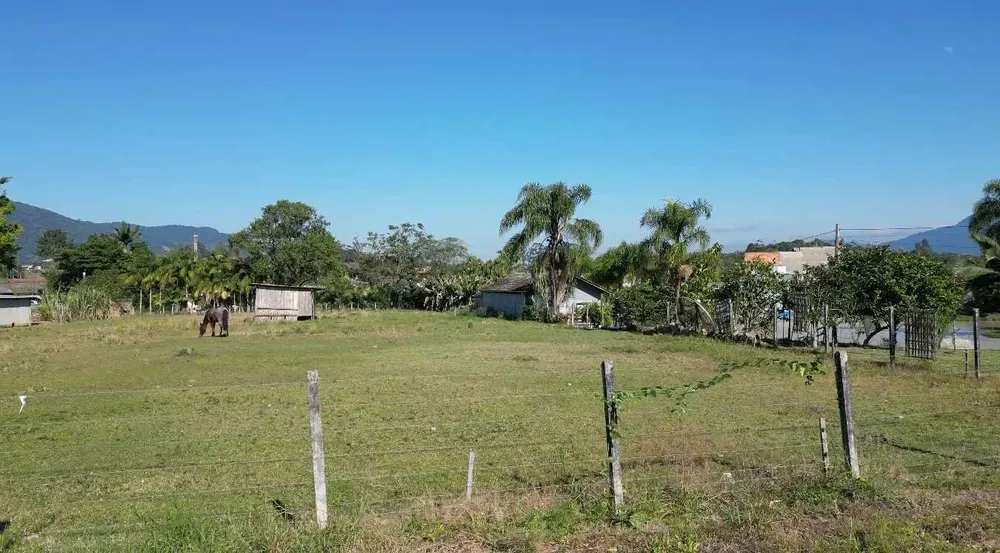 Terreno, 4100 m² - Foto 8