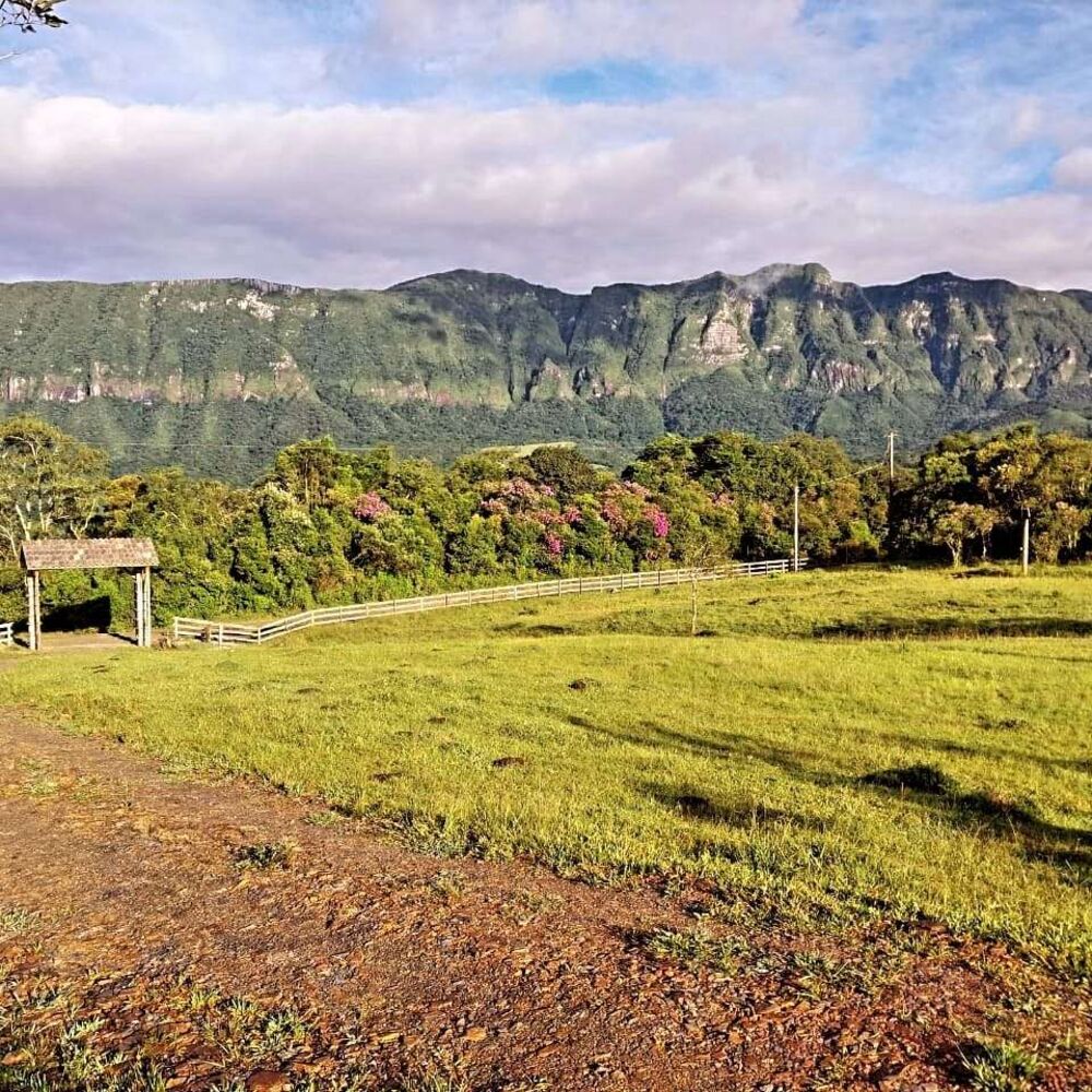 Terreno, 3 hectares - Foto 1