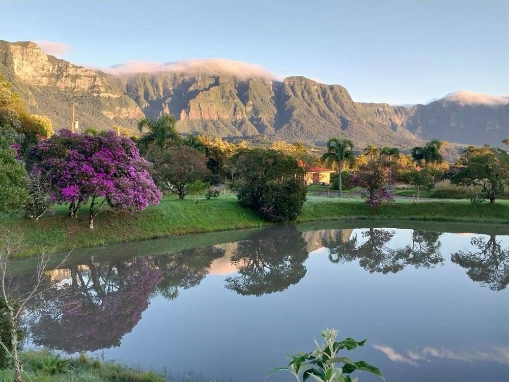 Terreno, 3 hectares - Foto 8