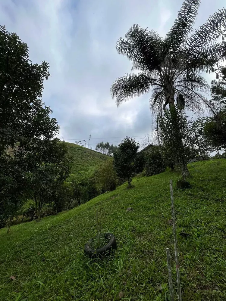 Sítio, 5 quartos, 6 hectares - Foto 9