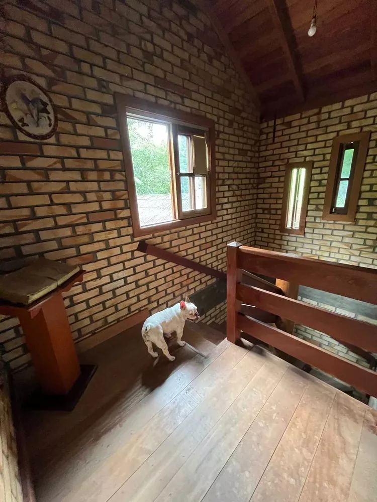 Sítio, 5 quartos, 6 hectares - Foto 10