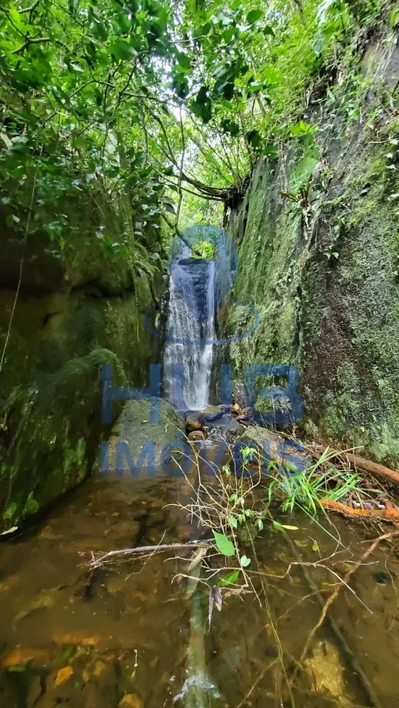 Fazenda, 41 hectares - Foto 4