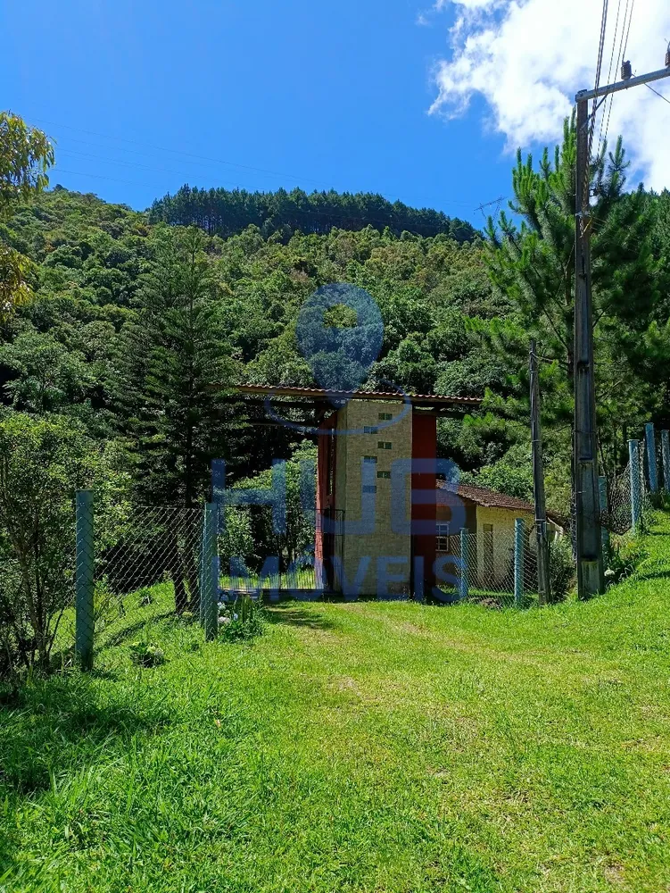 Fazenda, 41 hectares - Foto 3