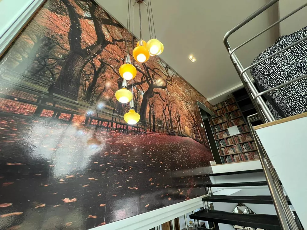 Casa, 3 quartos, 514 m² - Foto 3