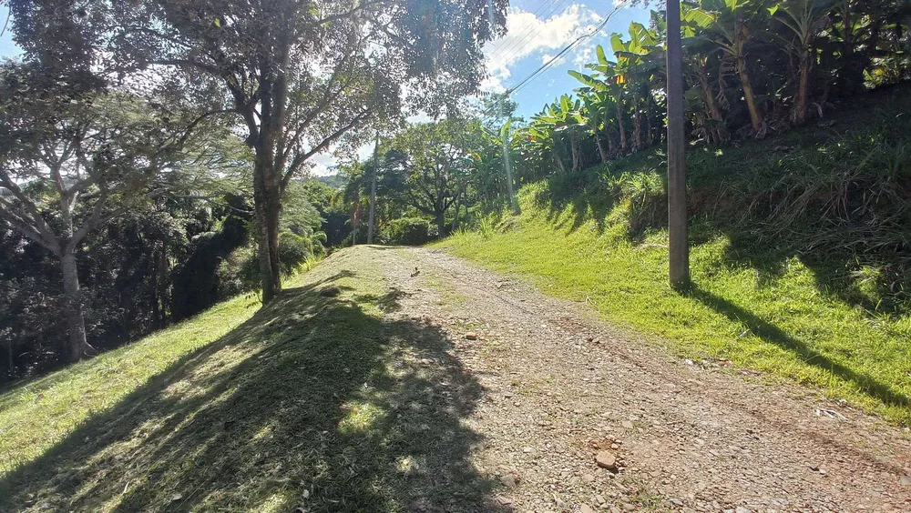 Terreno, 5 hectares - Foto 4