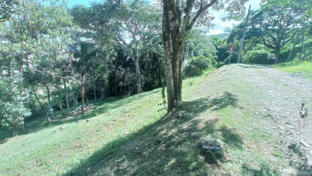 Terreno, 5 hectares - Foto 9