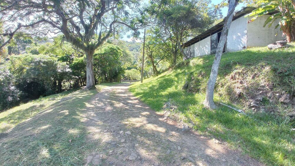 Terreno, 5 hectares - Foto 5