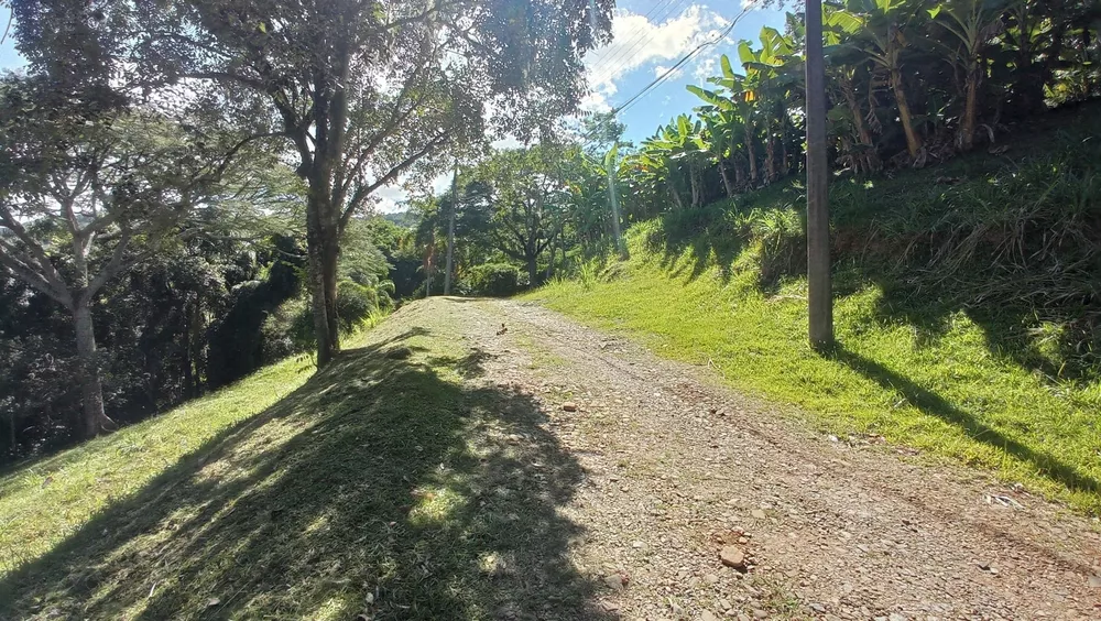 Terreno, 5 hectares - Foto 7