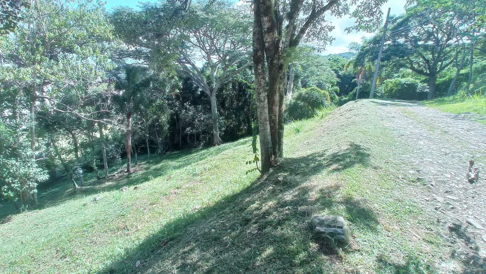 Terreno, 5 hectares - Foto 3
