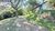 Terreno, 5 hectares - Foto 3