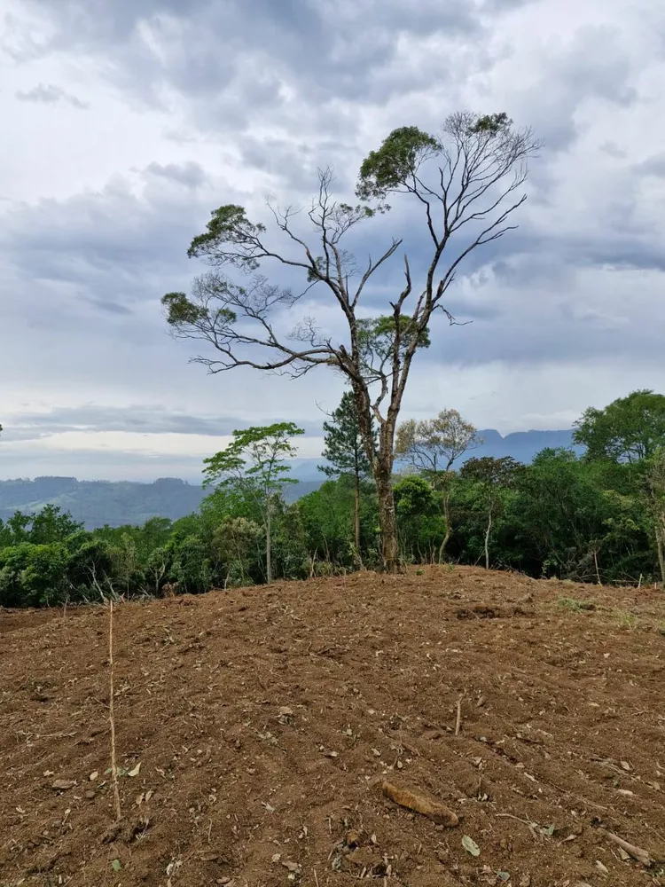 Terreno - Foto 5