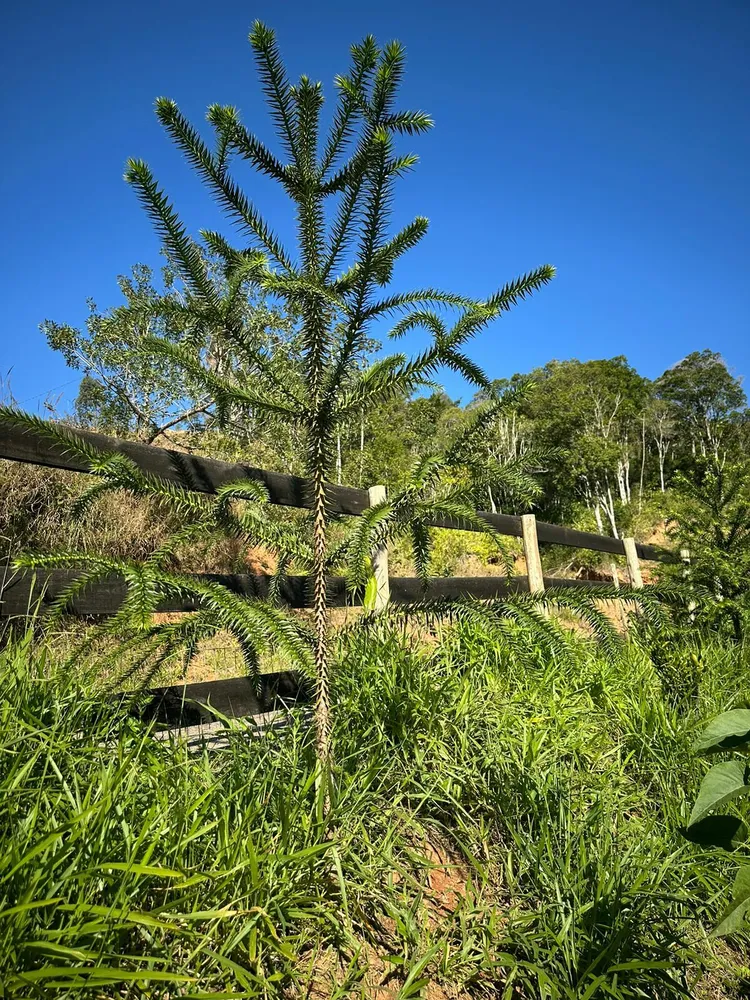 Fazenda, 48 m² - Foto 7