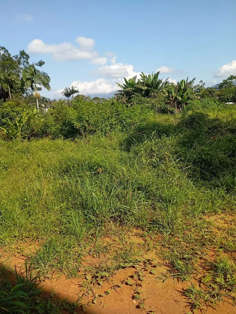 Terreno, 284 m² - Foto 2