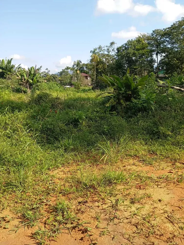 Terreno, 284 m² - Foto 1