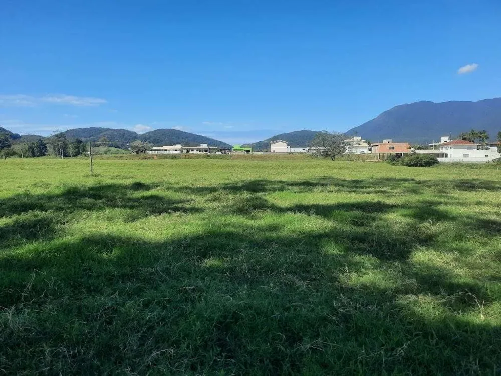 Terreno, 4 hectares - Foto 12