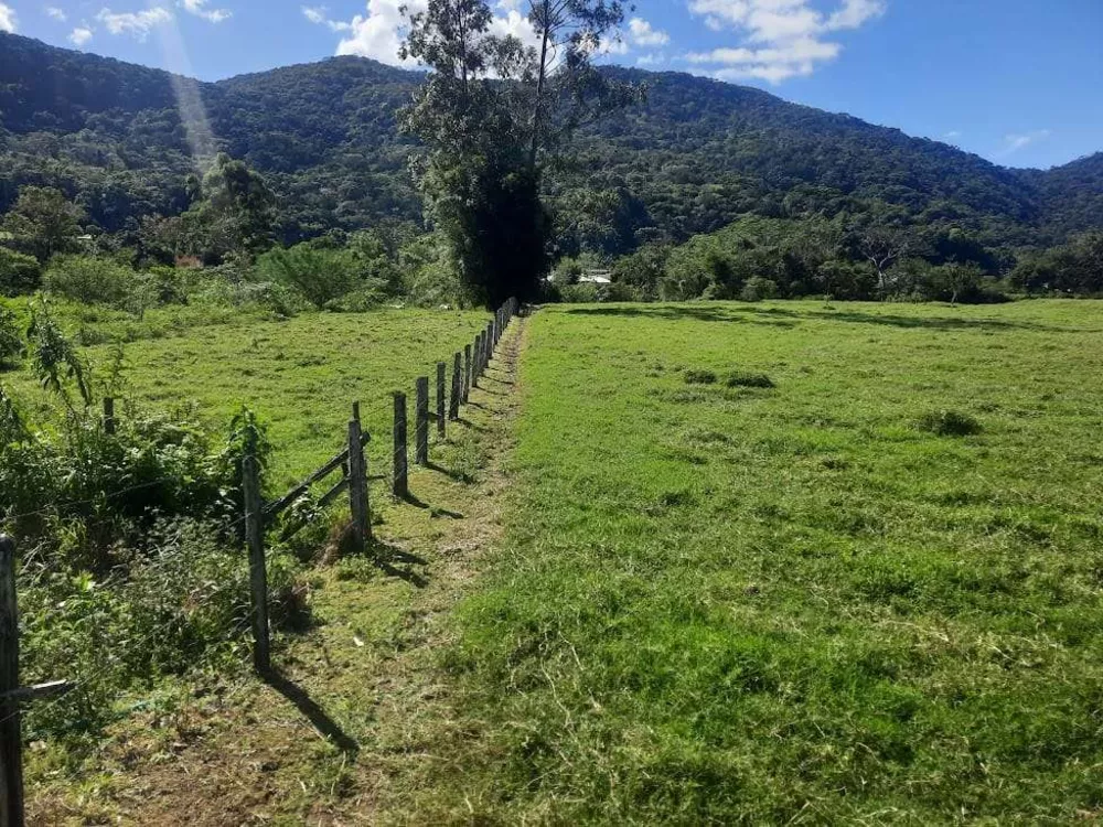 Terreno, 4 hectares - Foto 1