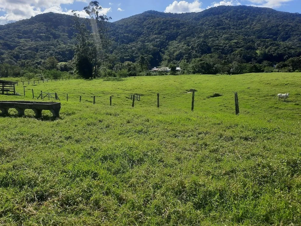 Terreno, 4 hectares - Foto 11