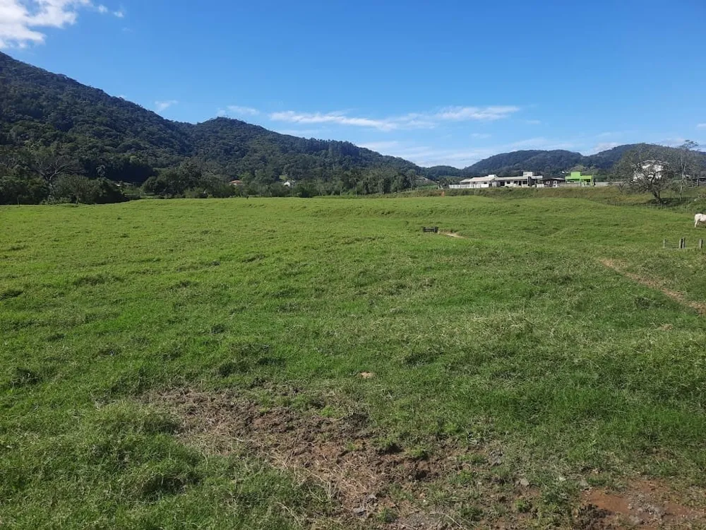 Terreno, 4 hectares - Foto 10
