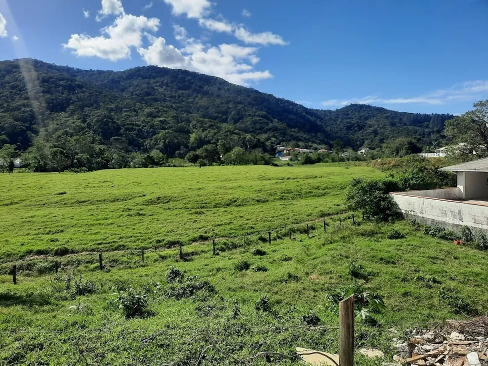 Terreno, 4 hectares - Foto 2