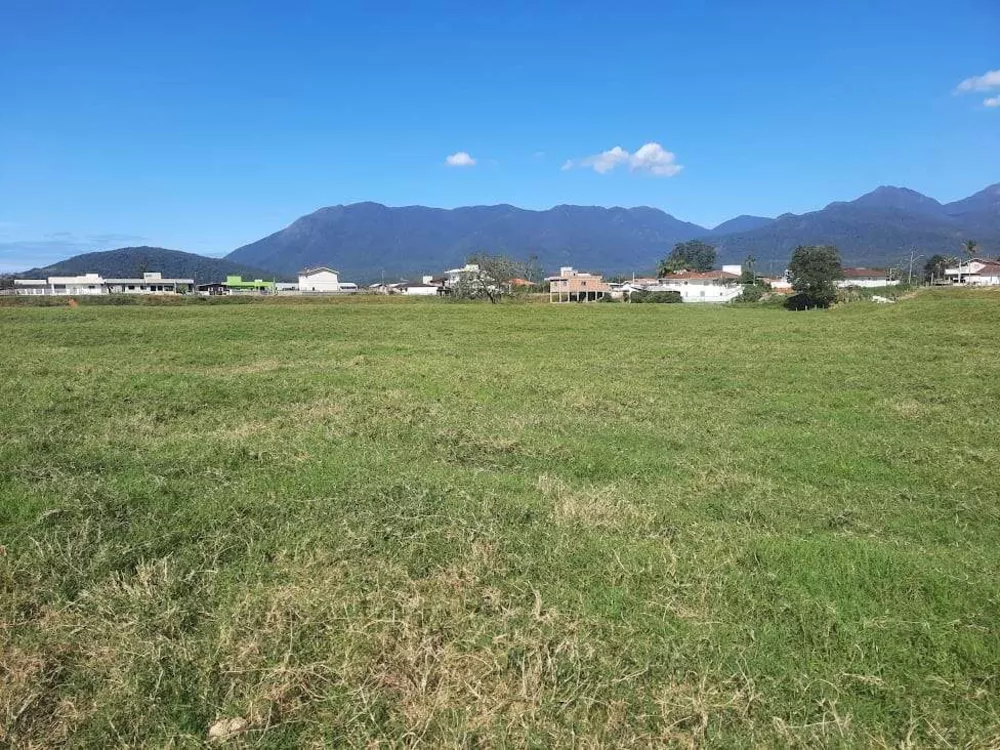 Terreno, 4 hectares - Foto 3