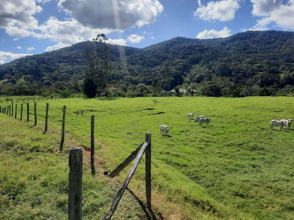 Terreno, 4 hectares - Foto 4