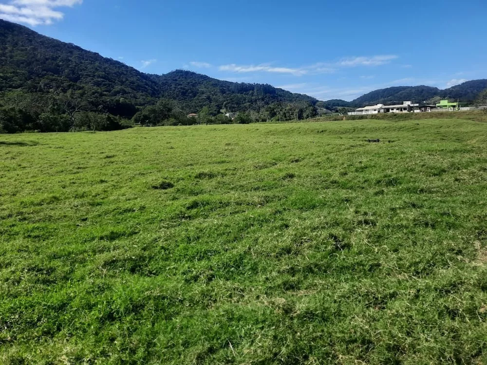 Terreno, 4 hectares - Foto 4