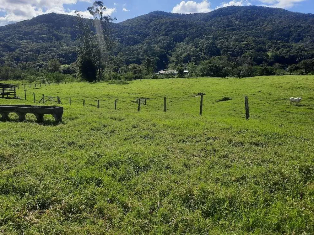 Terreno, 4 hectares - Foto 2