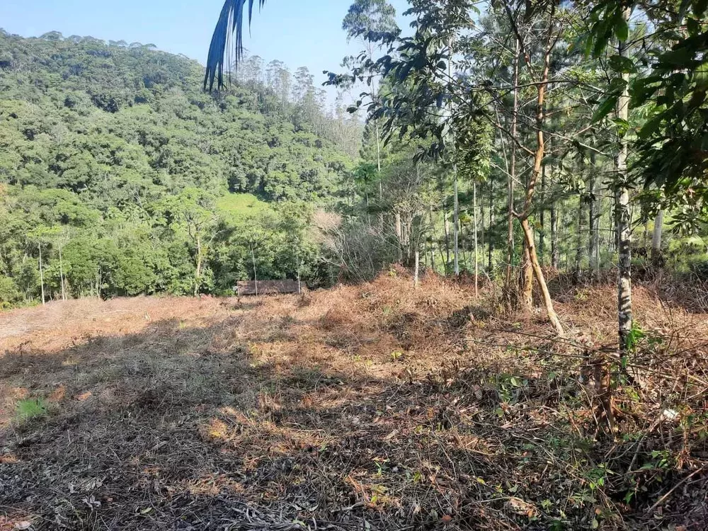 Terreno, 3000 m² - Foto 3