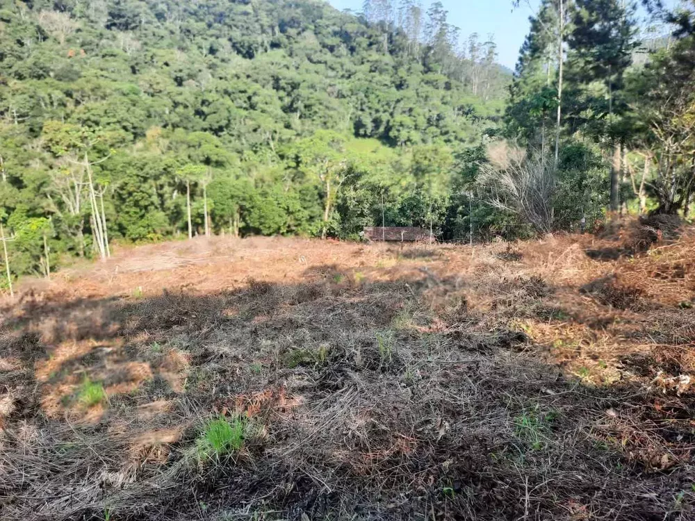 Terreno, 3000 m² - Foto 1