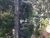 Terreno, 10 hectares - Foto 4