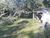 Terreno, 10 hectares - Foto 1