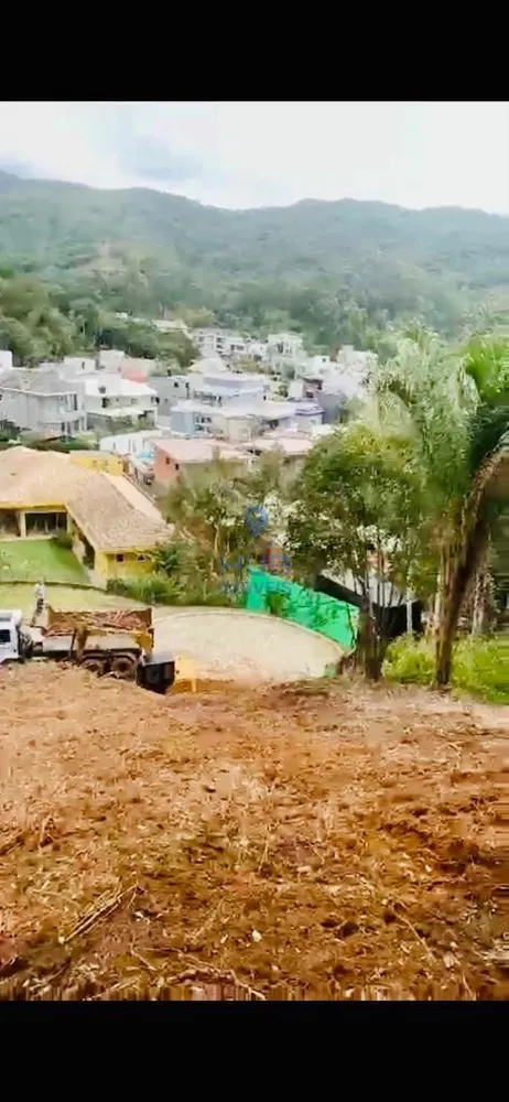 Casa, 4 quartos, 350 m² - Foto 2