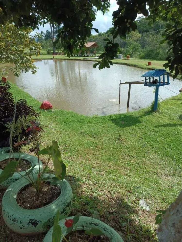 Sítio à venda com 3 quartos - Foto 3