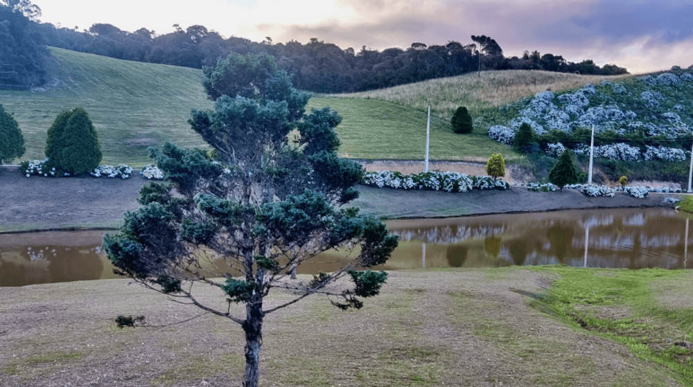 Terreno à venda, 2300 - Foto 1