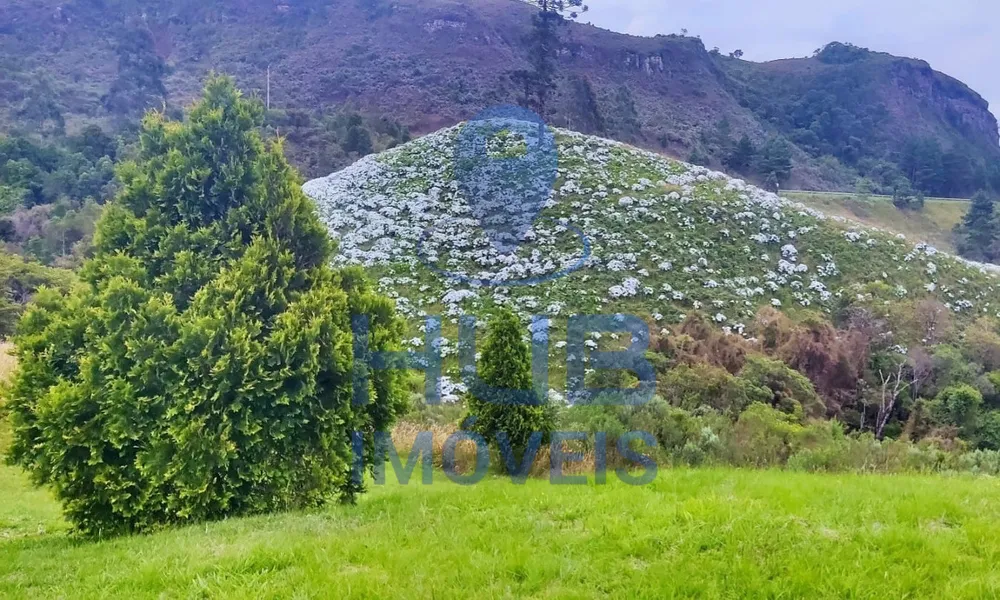 Terreno, 2300 m² - Foto 16