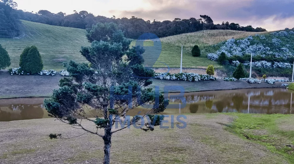 Terreno, 2300 m² - Foto 9
