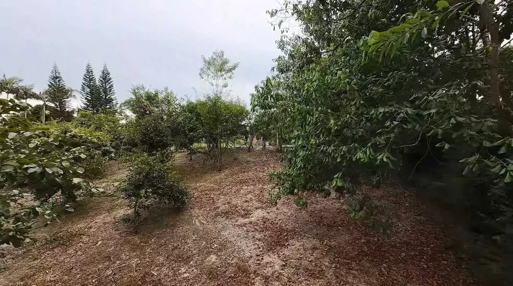 Sítio, 4 quartos, 2 hectares - Foto 6