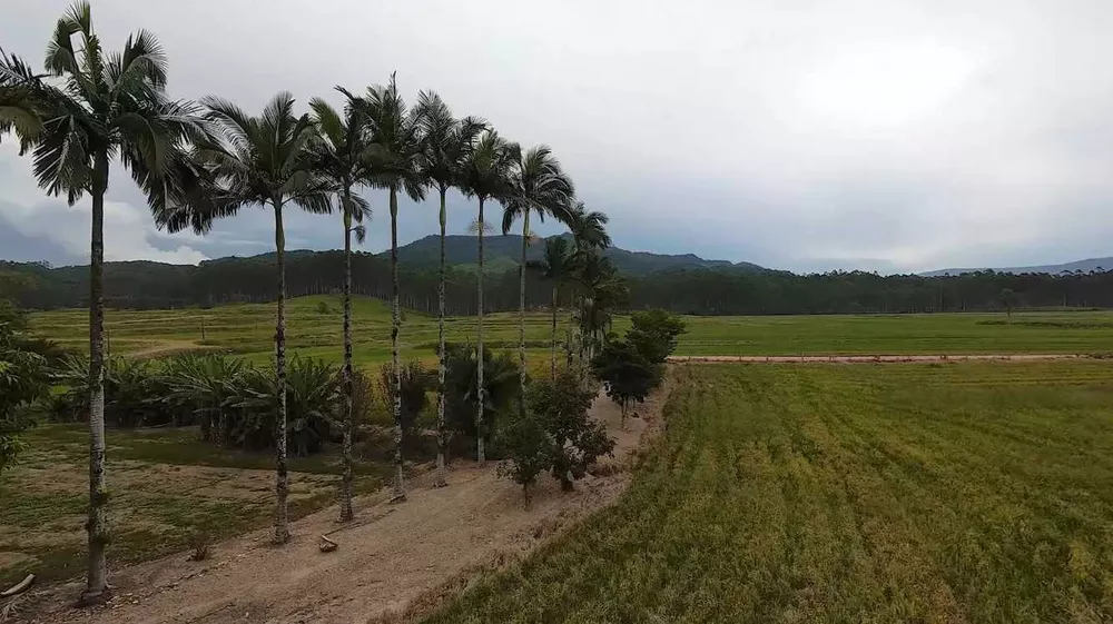 Sítio, 4 quartos, 2 hectares - Foto 2