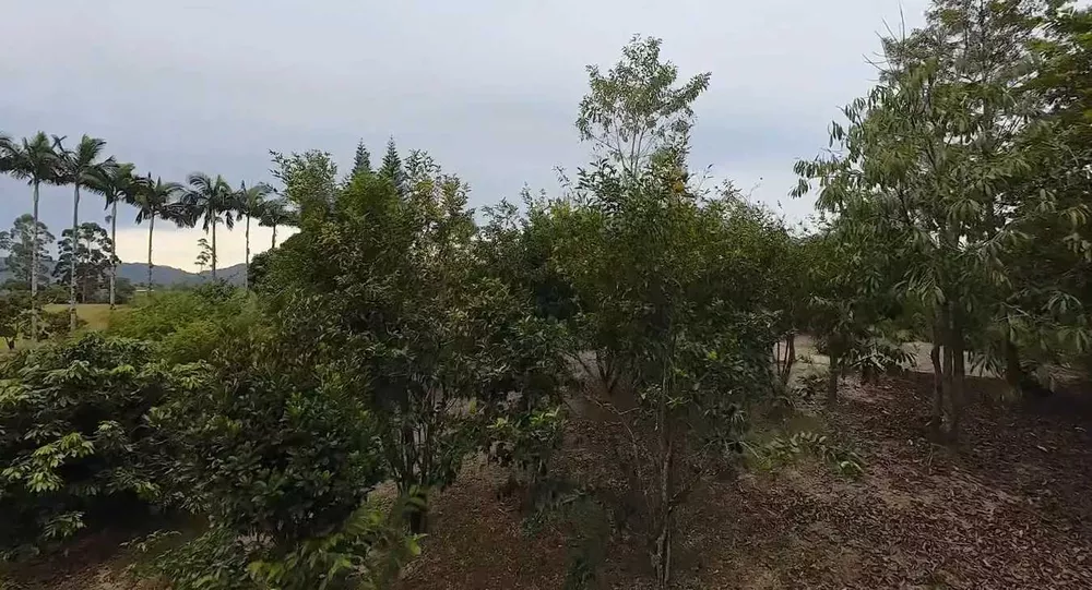 Sítio, 4 quartos, 2 hectares - Foto 7