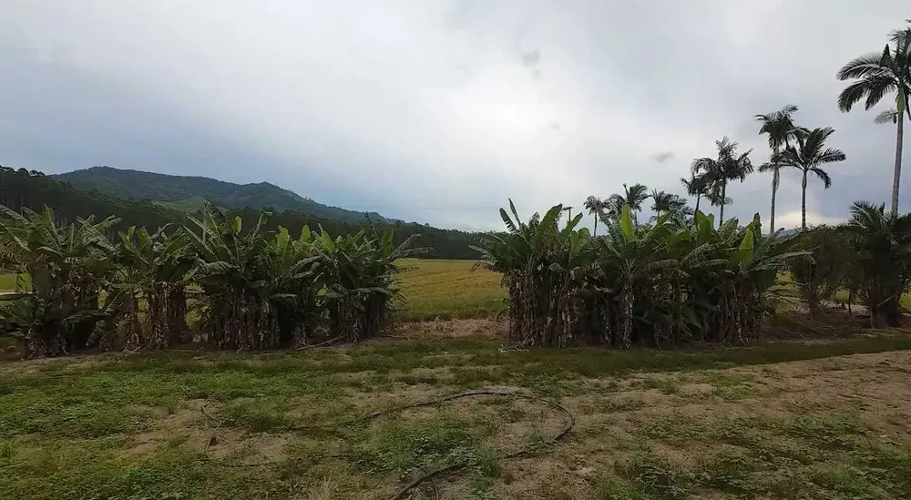 Sítio, 4 quartos, 2 hectares - Foto 5