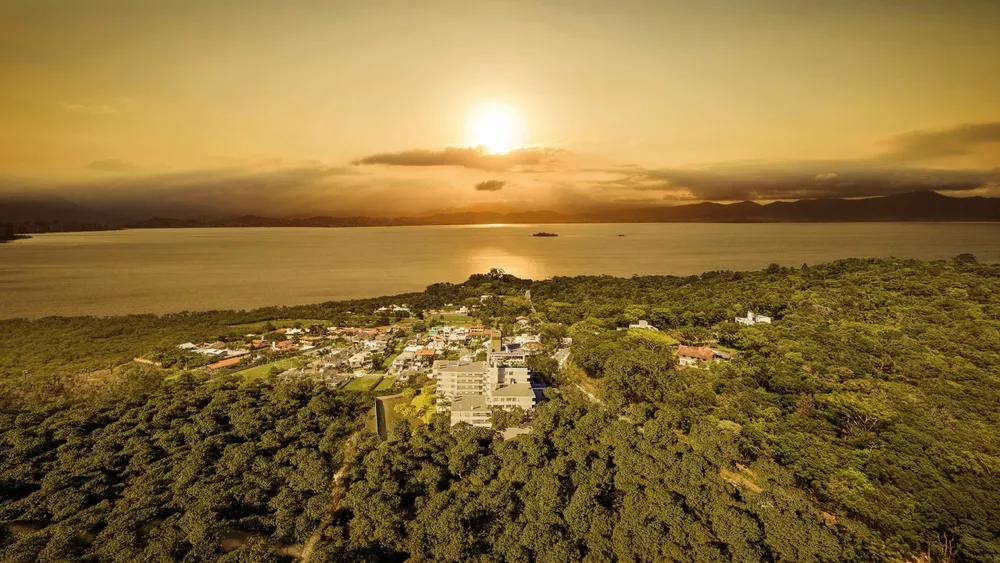 Apartamento - Foto 4